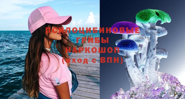 соль ск Алзамай